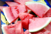 Watermelon Watermelon