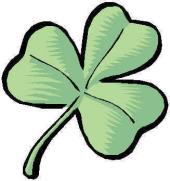 Irish shamrock