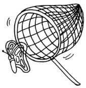 Mariposa botnet butterfly net Mariposa botnet butterfly net