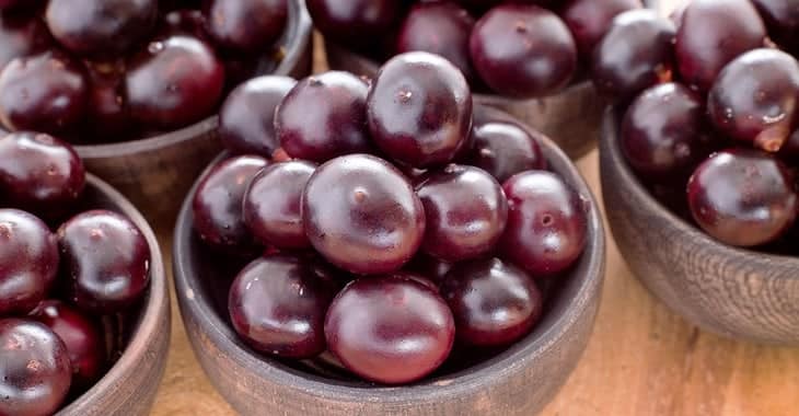 Acai Berry fake news website operators fined millions of dollars by FTC