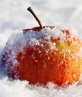 Apple in snow. Image from Shutterstock