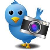 Twitter photo tagging