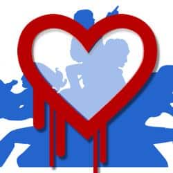 Heartbleed claims British mums and Canadian tax payers as victims