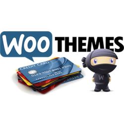 WooThemes hacked. Premium WordPress theme manufacturer warns of credit card leak