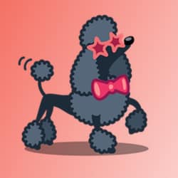 The POODLE bug internet vulnerability! Watch this video then check your browser