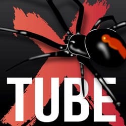 Xtube porn website spreads malware, after being compromised by hackers