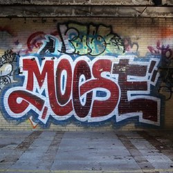Moose – the router worm with an appetite for social networks