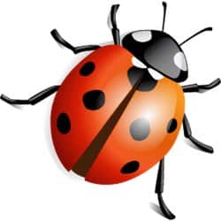 Do bug bounties work?