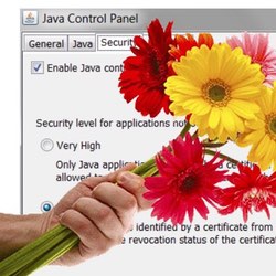 The upcoming death of the Java plugin has been announced.  No flowers please