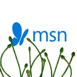 MSN home page spreads malware via malicious ad