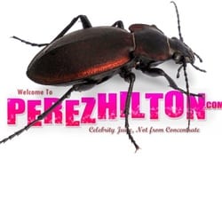 Perez Hilton website visitors hit by two malvertising attacks in same week