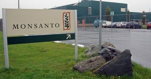 Monsanto sues ex-employee accused of stealing data