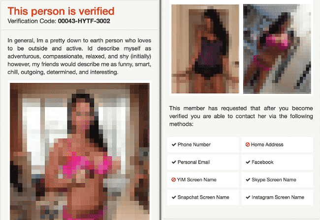 Fake profile on Tinder Safe Dating website (image altered to fit all elements into a single image) 