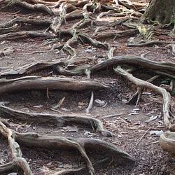 Almost a billion devices may be at risk from QuadRooter Android flaw