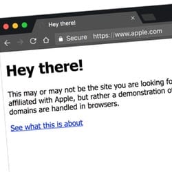 Chrome, Firefox, and Opera users vulnerable to Unicode domain phishing attacks