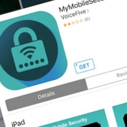 Malvertising campaign pushes data-collecting VPN on iOS users