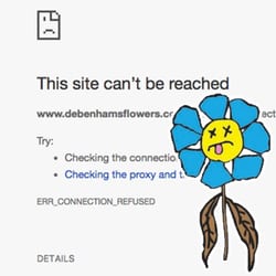 Debenhams warns flower-buying customers after website hacked for over six weeks