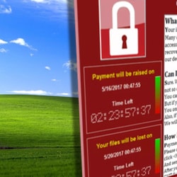 Windows XP ‘did not contribute much’ to WannaCry infection totals