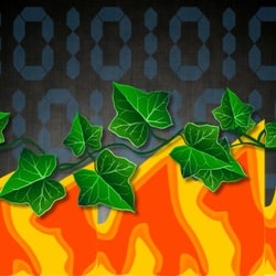 Millions of IoT devices at hacking risk due to flaw in open source software library