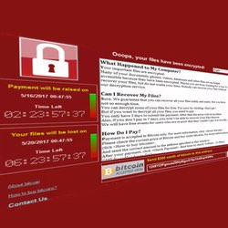 Europol warns ransomware has taken cybercrime ‘to another level’