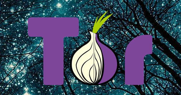 Firm offers up to $1 million if you find a Tor zero-day exploit