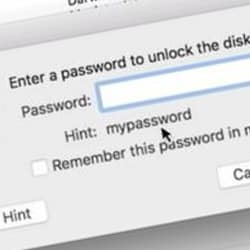 Apple fixes flaw that displayed actual password rather than password hint