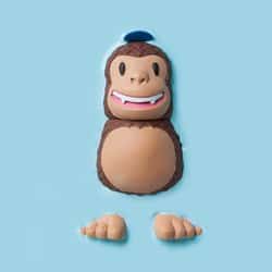 MailChimp plugs a hole that could have leaked your email address