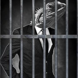 Lizard Squad member jailed after offering DDoS-for-hire attack service