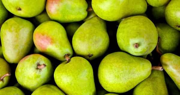 Poisoned PEAR. Official PHP extension repository infected for up to six months