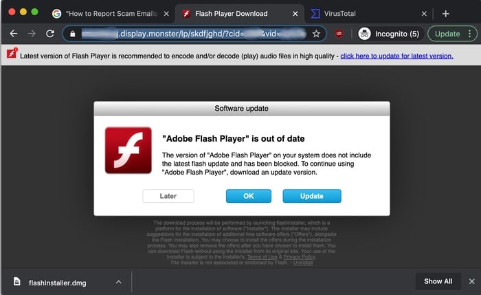 Malicious flash download