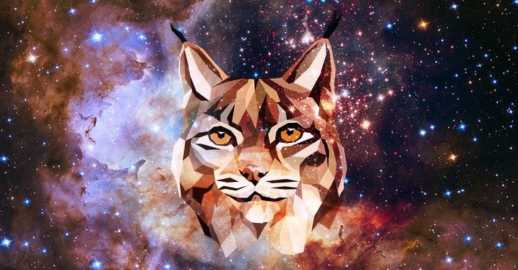 Cosmic Lynx: The highly-professional cybercrime gang scamming businesses out of millions of dollars