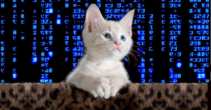 Charming Kitten targets critical infrastructure in US and elsewhere with BellaCiao malware