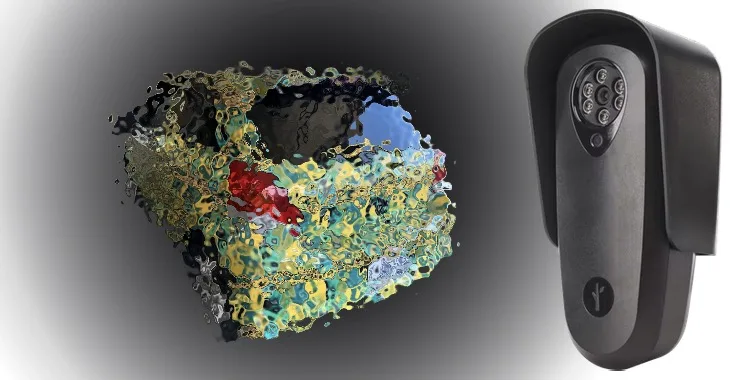 An “invisible” car? Researcher uses machine learning to hide vehicles from Flock cameras